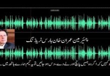 Latest audio leak allegedly exposes Imran Khan’s narrative on horse trading Imran - The News Today - TNT
