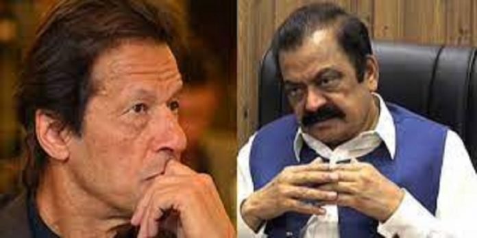 Rana - The News Today - TNT