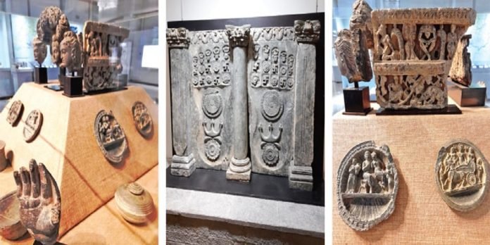 artifacts artifacts - The News Today - TNT