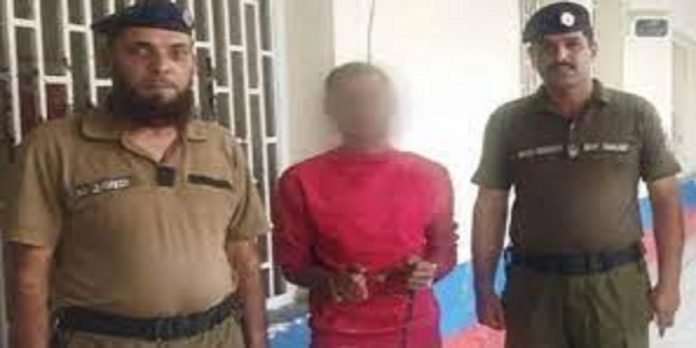 murder murder - The News Today - TNT