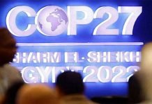 COP27 summit agrees for establishment of fund to help climate affected countries COP27 - The News Today - TNT
