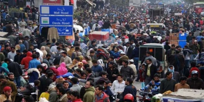 Life Life - The News Today - TNT