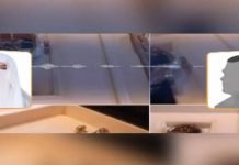 Another purported audio of Bushra Bibi muddies the waters Audio - The News Today - TNT