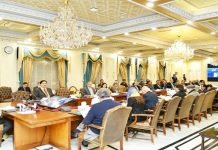 Shifting to solar energy ‘only viable option for survival’: Premier Shehbaz Cabinet - The News Today - TNT