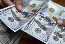 FIA Khyber Pakhtunkhwa seals 4 currency markets in Peshawar Dollar - The News Today - TNT