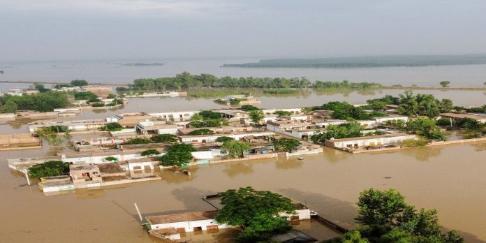 Flood Flood - The News Today - TNT