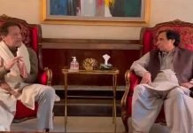 Imported govt tramples constitution in revenge politics: Imran Imran - The News Today - TNT