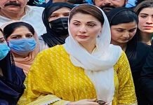 Maryam Nawaz promoted as PML-N senior vice president, asked to ‘re-organize’ party Maryam - The News Today - TNT