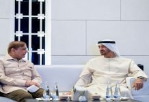 Pakistan, UAE reaffirm resolve to further bolster bilateral ties Pak UAE - The News Today - TNT