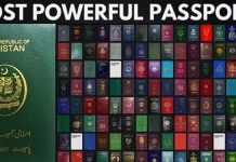 Green passport is among five worst passports in world Passports - The News Today - TNT