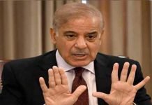 Premier Shehbaz directs PML-N top brass to address women lawmaker’s reservations Shehbaz - The News Today - TNT