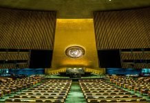 Afghanistan poses terrorist threat to Central and South Asia: UN report UN - The News Today - TNT