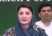 Maryam Nawaz says only PML-N can iron out inflation Maryam - The News Today - TNT