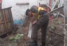 Two children die in Mardan roof collapse Roof - The News Today - TNT