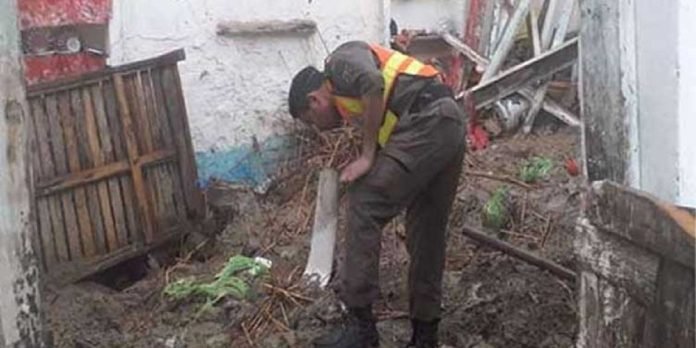 Roof Roof - The News Today - TNT