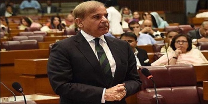 Shehbaz Shehbaz - The News Today - TNT