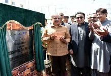 Premier Shehbaz unveils 1650MW Shanghai Electric Thar projects Thar - The News Today - TNT