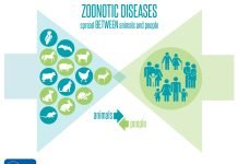 Zoonotic Diseases and Public Health: an integrated approach Zoonotic Diseases - The News Today - TNT