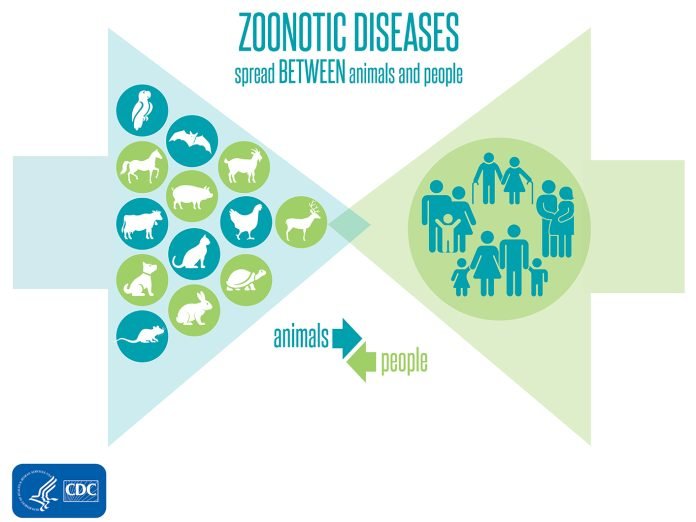 Zoonotic Diseases - The News Today - TNT
