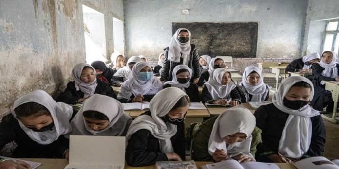 Afghan girls - The News Today - TNT