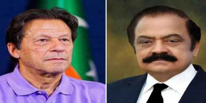 Rana - The News Today - TNT