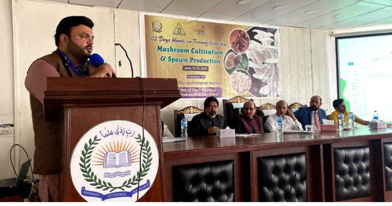 Hamdan - The News Today - TNT