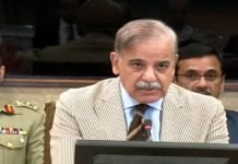 Premier Shehbaz says political, economic stability go hand in hand Shehbaz - The News Today - TNT