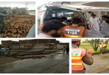 toll climbs to 29 as torrential rains, windstorms play havoc in KP, Punjab wind - The News Today - TNT