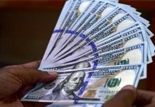 Cracking Illicit Dollar Trade: A Solution or a Temporary Fix? Dollar - TNT Report - TNT