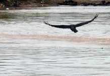 PDMA, Issues Flood Warning Ahead Of Fresh Monsoon Spell In KP Flood - TNT Report - TNT