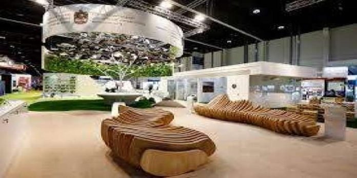 NAP - TNT Report - TNT