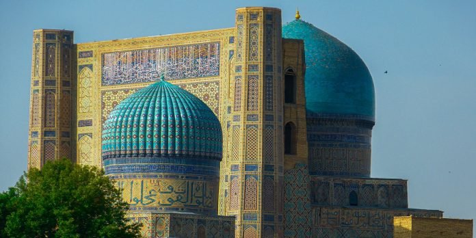 Picture 8 - TNT Report - TNT