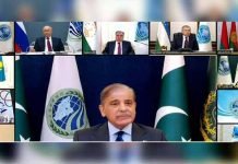 ‘State terrorism should be strongly condemned’: PM says at India-hosted SCO summit Shehbaz - The News Today - TNT