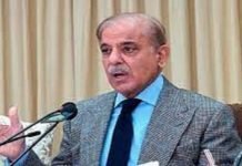 Bisham terror attack aimed to harm Pak-China extraordinary friendship:Premier Shehbaz - TNT Report - TNT