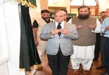 Premier inaugurates 1,263MW power plant in Jhang Punjab Shehbaz - The News Today - TNT