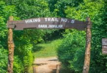 Trails on Margalla Hills closed for two days in Islamabad Trails - TNT Report - TNT