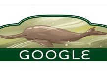 Indus Dolphin doodle by Google adds charm to Pakistan’s 76th Independence Day Indus Dolphin - The News Today - TNT