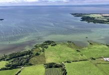 Lough Neagh, UK’s largest lake turned into ‘a toilet’, disaster being ‘underplayed’ Lough Neagh - The News Today - TNT