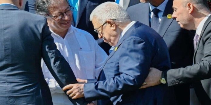 Mehmood Mehmood - The News Today - TNT