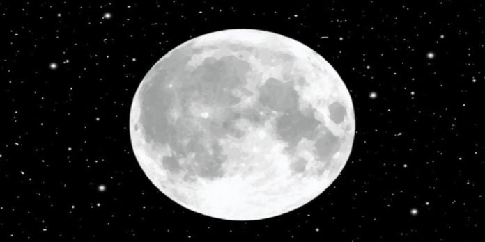 Moon Moon - The News Today - TNT