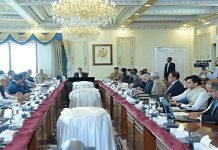 Economic blueprint of Federal Govt focuses on taxing digital markets, real estate Cabinet - The News Today - TNT