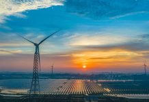 COP29 and the Climate Clock: What It Means for Developing Countries