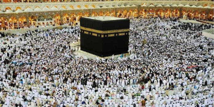 Hajj Hajj - The News Today - TNT