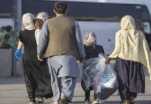 Repatriation of illegal Afghan nationals gathers pace amid arrest fears Afghans - The News Today - TNT