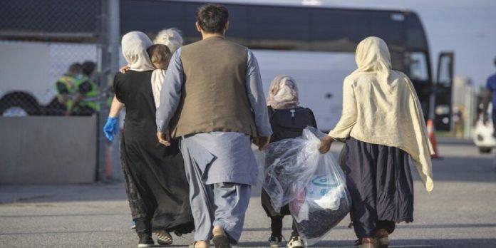 Afghans - The News Today - TNT