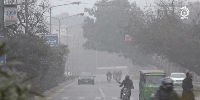 Cold - The News Today - TNT