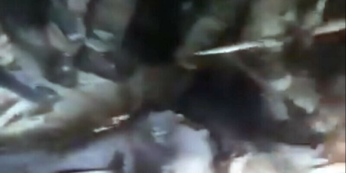 India - The News Today - TNT