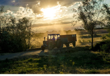 Impact of Global Warming on Pakistan’s Agriculture Tractor The News Today TNT