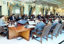 Federal Cabinet approves restructuring of PIA, privatization of First Women Bank Cabinet - The News Today - TNT