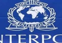 NCB of Interpol Pakistan issues performance report of activities in 2023 Interpol - The News Today - TNT
